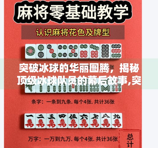 突破冰球的华丽图腾，揭秘顶级冰球队员的幕后故事,突破冰球豪华图片