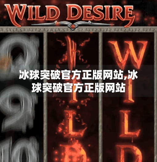 冰球突破官方正版网站,冰球突破官方正版网站