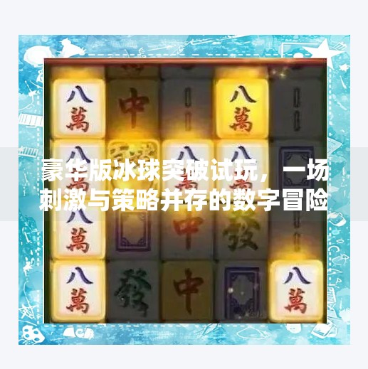 豪华版冰球突破试玩，一场刺激与策略并存的数字冒险,豪华版冰球突破试玩