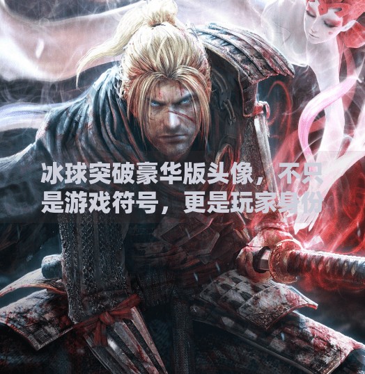 冰球突破豪华版头像，不只是游戏符号，更是玩家身份的象征,冰球突破豪华版头像