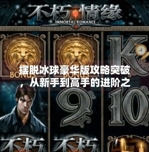 摆脱冰球豪华版攻略突破，从新手到高手的进阶之路,摆脱冰球豪华版攻略突破