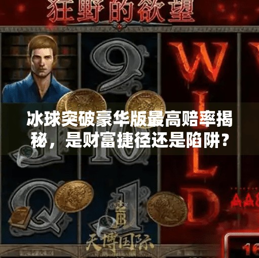 冰球突破豪华版最高赔率揭秘，是财富捷径还是陷阱？冰球突破豪华版最高赔率