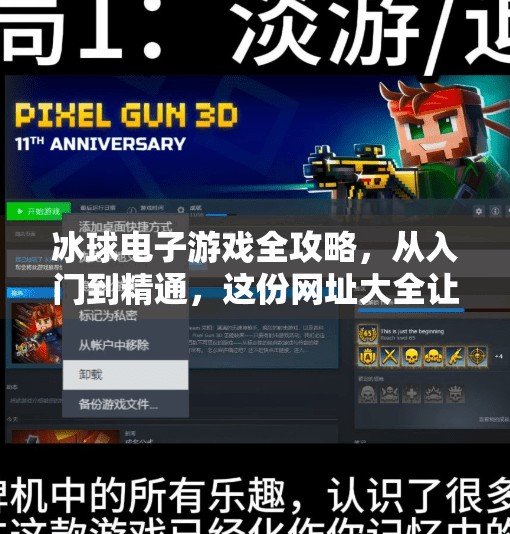 冰球电子游戏全攻略，从入门到精通，这份网址大全让你畅玩不止于赛场！突破冰球电子游戏网址大全