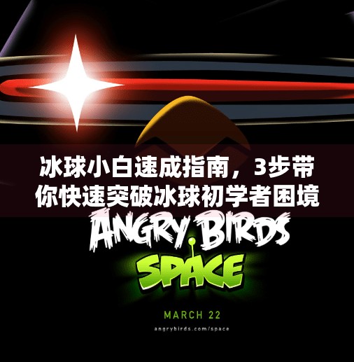 冰球小白速成指南,3步带你快速突破冰球初学者困境!快速突破冰球