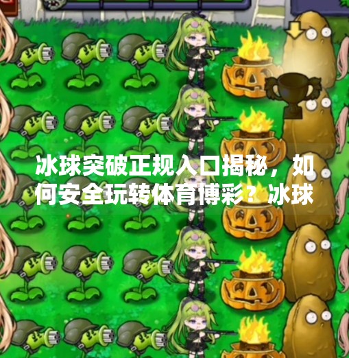 冰球突破正规入口揭秘，如何安全玩转体育博彩？冰球突破正规入口