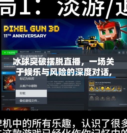 冰球突破摆脱直播，一场关于娱乐与风险的深度对话,冰球突破摆脱直播