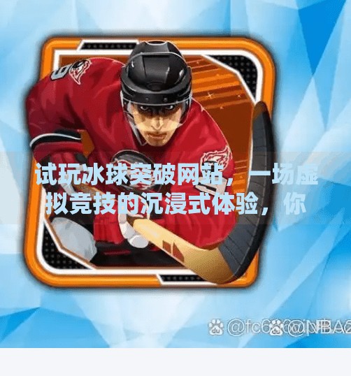 试玩冰球突破网站，一场虚拟竞技的沉浸式体验，你真的了解它吗？试玩冰球突破网站